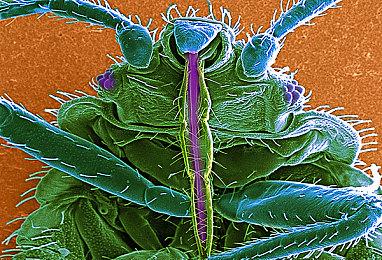 动作冒险游戏《阿斯特：巨碑之刃》现已在Steam平台正式发售